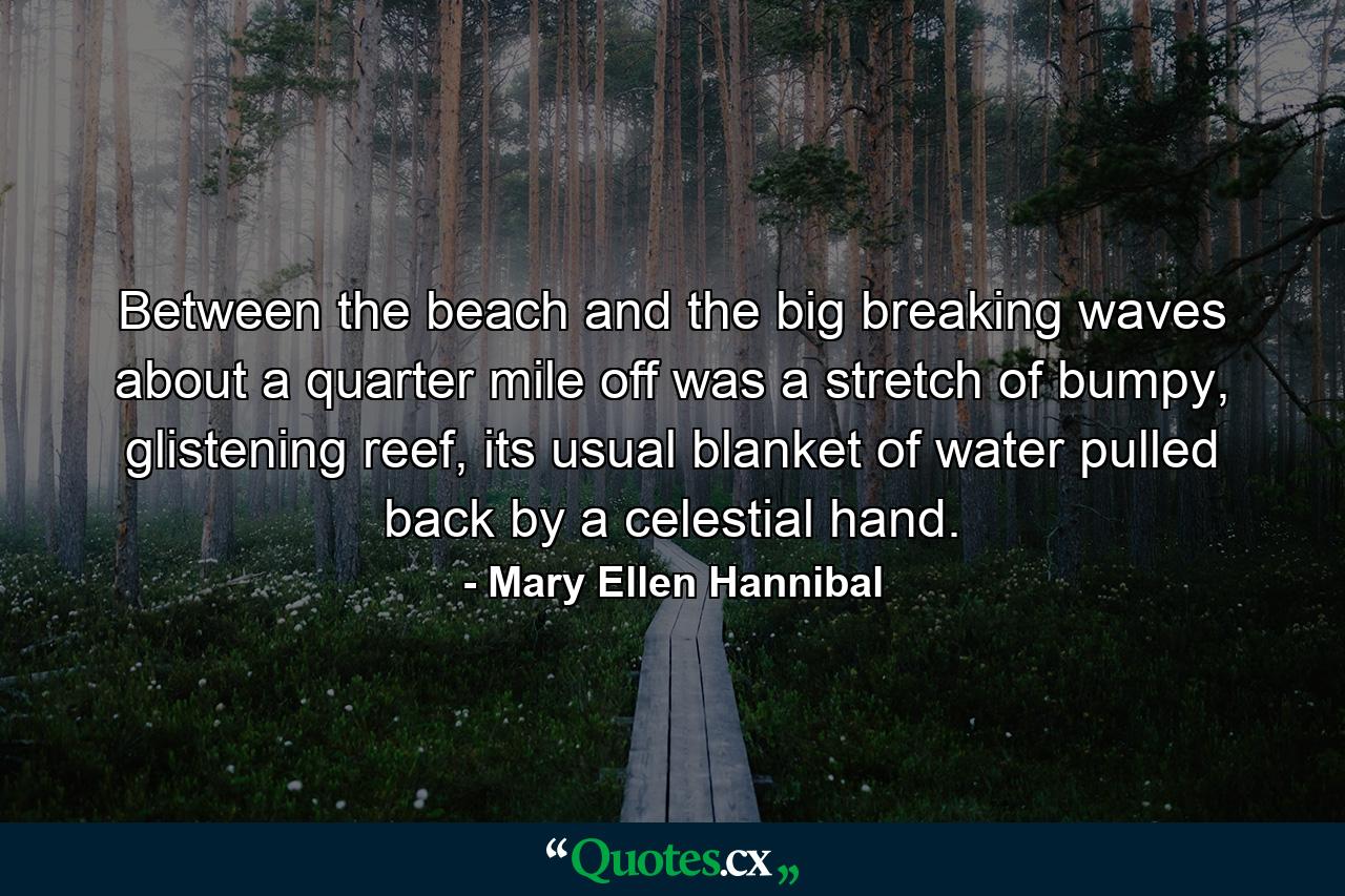 Between the beach and the big breaking waves about a quarter mile off was a stretch of bumpy, glistening reef, its usual blanket of water pulled back by a celestial hand. - Quote by Mary Ellen Hannibal