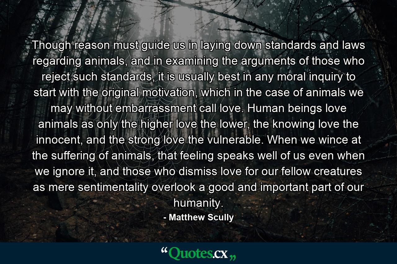 Though reason must guide us in laying down standards and laws regarding animals, and in examining the arguments of those who reject such standards, it is usually best in any moral inquiry to start with the original motivation, which in the case of animals we may without embarrassment call love. Human beings love animals as only the higher love the lower, the knowing love the innocent, and the strong love the vulnerable. When we wince at the suffering of animals, that feeling speaks well of us even when we ignore it, and those who dismiss love for our fellow creatures as mere sentimentality overlook a good and important part of our humanity. - Quote by Matthew Scully