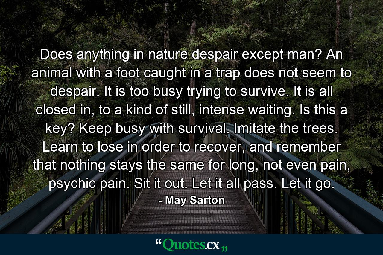 Does anything in nature despair except man? An animal with a foot caught in a trap does not seem to despair. It is too busy trying to survive. It is all closed in, to a kind of still, intense waiting. Is this a key? Keep busy with survival. Imitate the trees. Learn to lose in order to recover, and remember that nothing stays the same for long, not even pain, psychic pain. Sit it out. Let it all pass. Let it go. - Quote by May Sarton