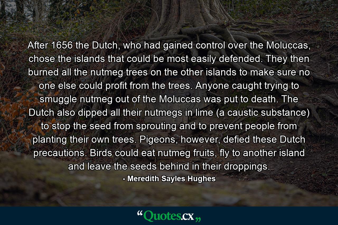 After 1656 the Dutch, who had gained control over the Moluccas, chose the islands that could be most easily defended. They then burned all the nutmeg trees on the other islands to make sure no one else could profit from the trees. Anyone caught trying to smuggle nutmeg out of the Moluccas was put to death. The Dutch also dipped all their nutmegs in lime (a caustic substance) to stop the seed from sprouting and to prevent people from planting their own trees. Pigeons, however, defied these Dutch precautions. Birds could eat nutmeg fruits, fly to another island and leave the seeds behind in their droppings. - Quote by Meredith Sayles Hughes