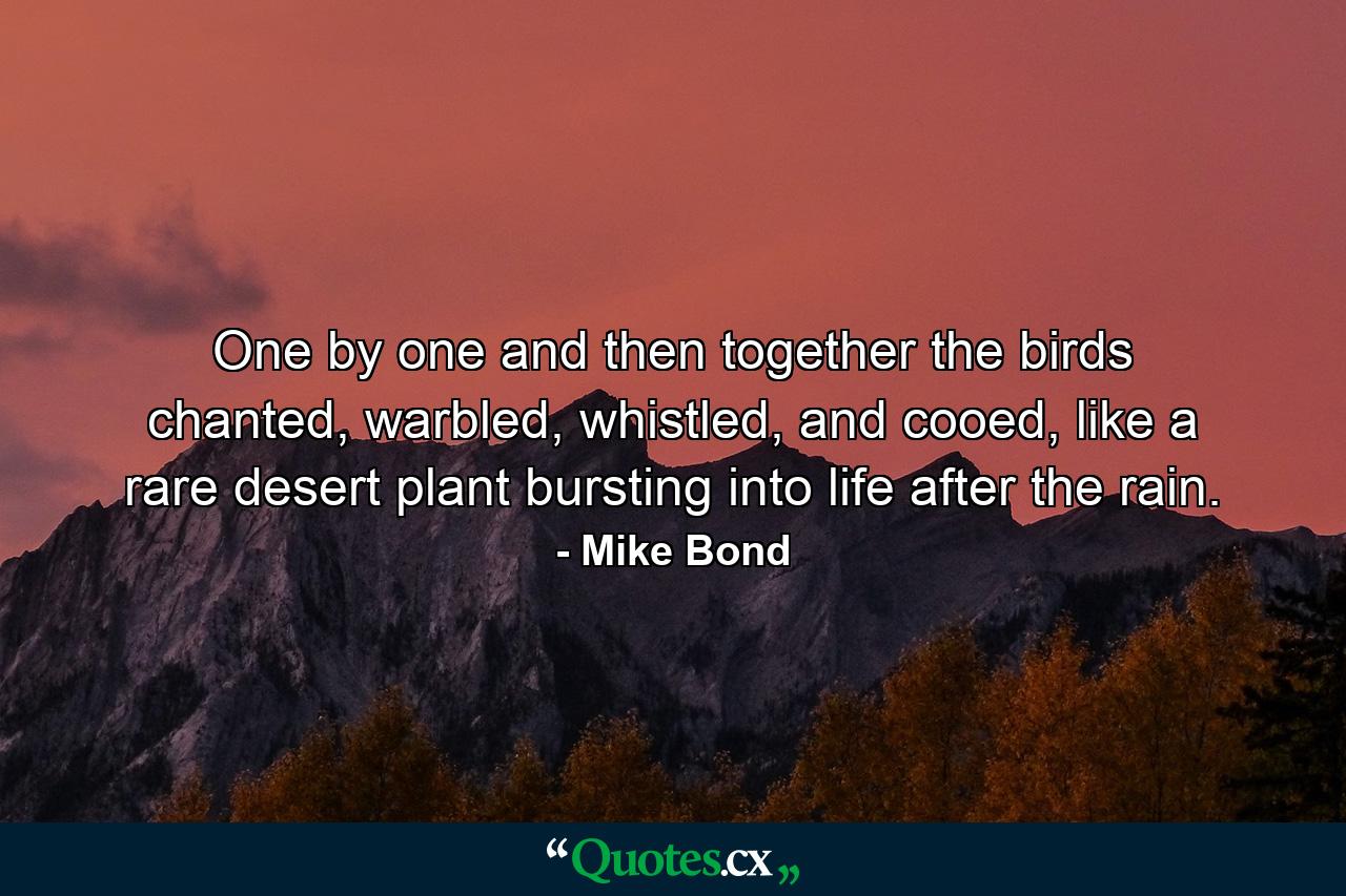 One by one and then together the birds chanted, warbled, whistled, and cooed, like a rare desert plant bursting into life after the rain. - Quote by Mike Bond