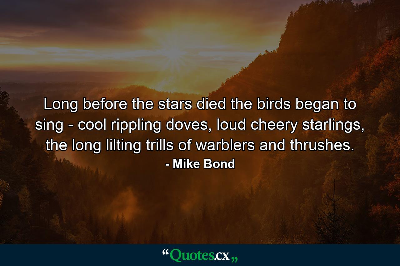 Long before the stars died the birds began to sing - cool rippling doves, loud cheery starlings, the long lilting trills of warblers and thrushes. - Quote by Mike Bond