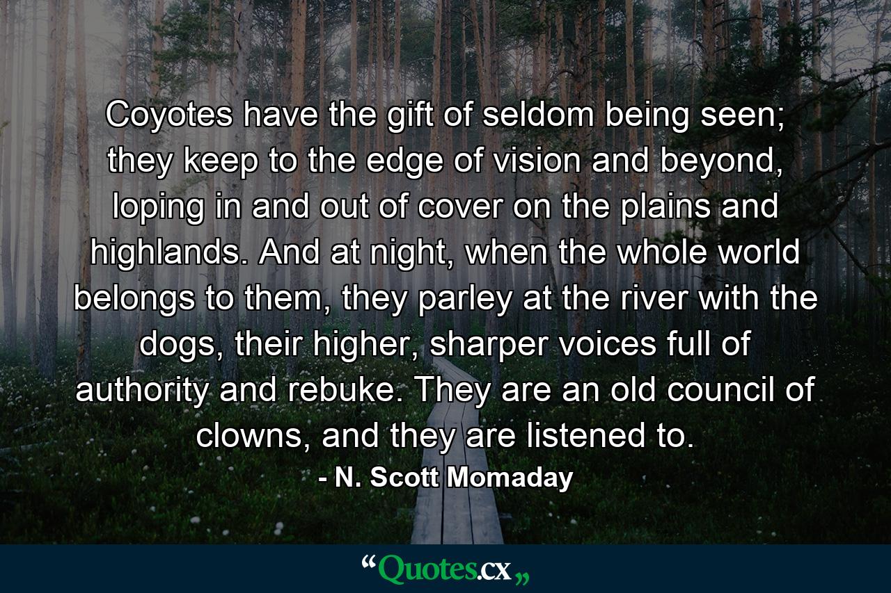 Coyotes have the gift of seldom being seen; they keep to the edge of vision and beyond, loping in and out of cover on the plains and highlands. And at night, when the whole world belongs to them, they parley at the river with the dogs, their higher, sharper voices full of authority and rebuke. They are an old council of clowns, and they are listened to. - Quote by N. Scott Momaday