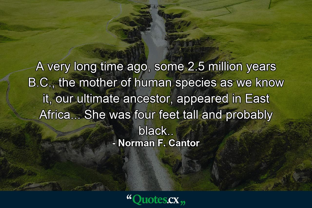 A very long time ago, some 2.5 million years B.C., the mother of human species as we know it, our ultimate ancestor, appeared in East Africa... She was four feet tall and probably black.. - Quote by Norman F. Cantor