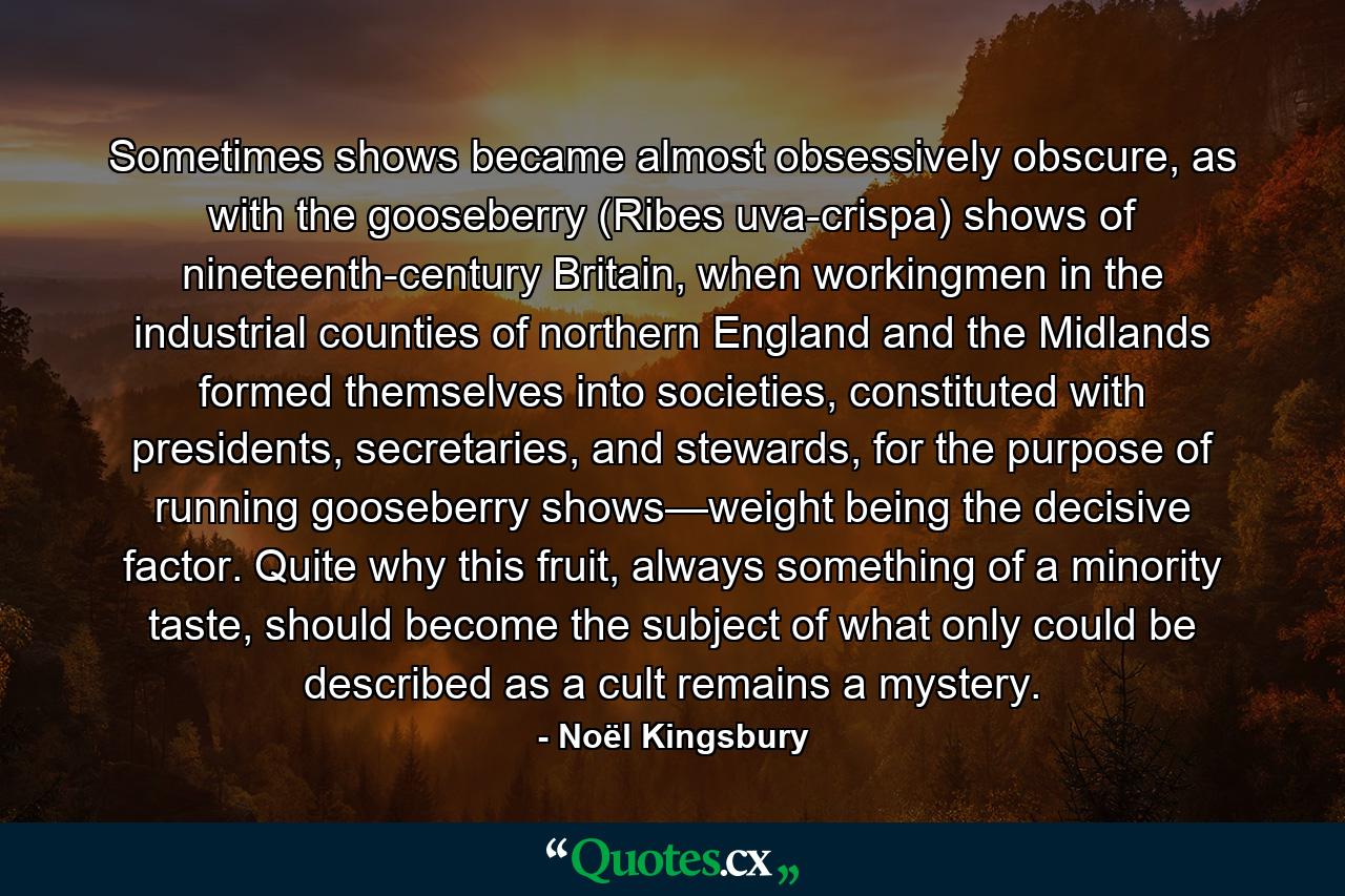 Sometimes shows became almost obsessively obscure, as with the gooseberry (Ribes uva-crispa) shows of nineteenth-century Britain, when workingmen in the industrial counties of northern England and the Midlands formed themselves into societies, constituted with presidents, secretaries, and stewards, for the purpose of running gooseberry shows—weight being the decisive factor. Quite why this fruit, always something of a minority taste, should become the subject of what only could be described as a cult remains a mystery. - Quote by Noël Kingsbury