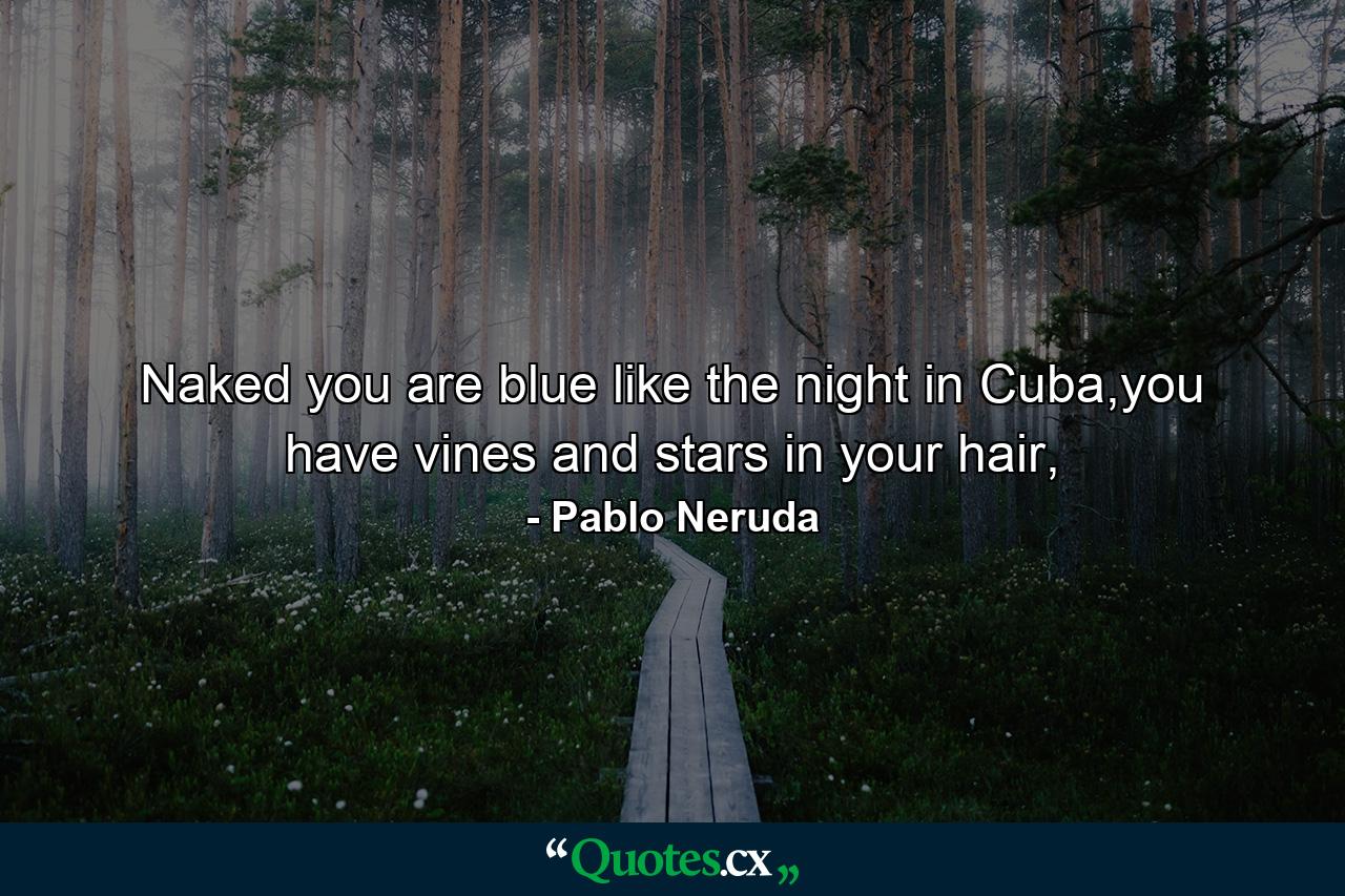 Naked you are blue like the night in Cuba,you have vines and stars in your hair, - Quote by Pablo Neruda