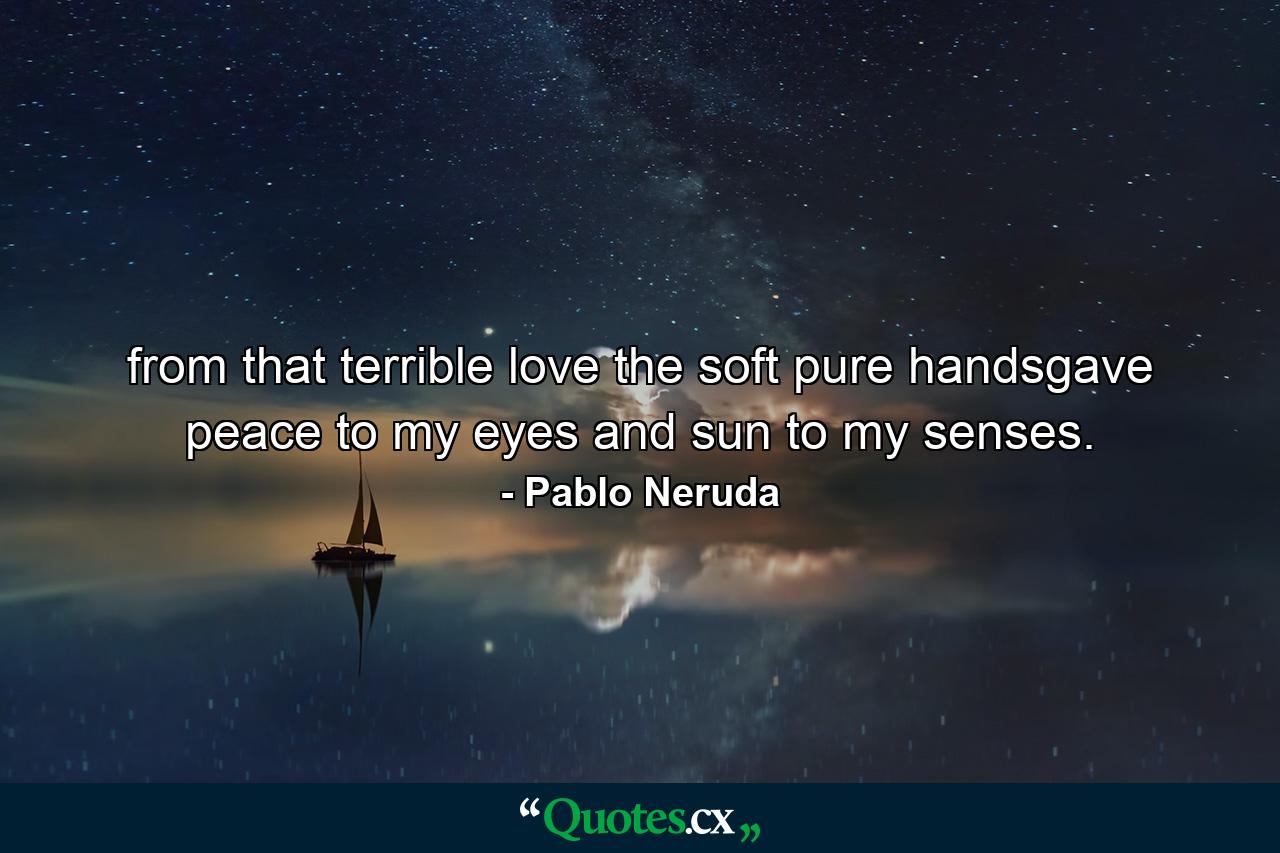 from that terrible love the soft pure handsgave peace to my eyes and sun to my senses. - Quote by Pablo Neruda