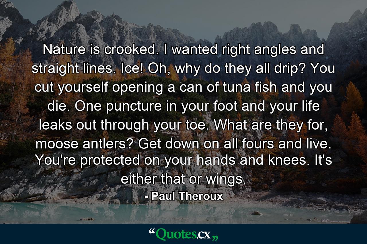 Nature is crooked. I wanted right angles and straight lines. Ice! Oh, why do they all drip? You cut yourself opening a can of tuna fish and you die. One puncture in your foot and your life leaks out through your toe. What are they for, moose antlers? Get down on all fours and live. You're protected on your hands and knees. It's either that or wings. - Quote by Paul Theroux