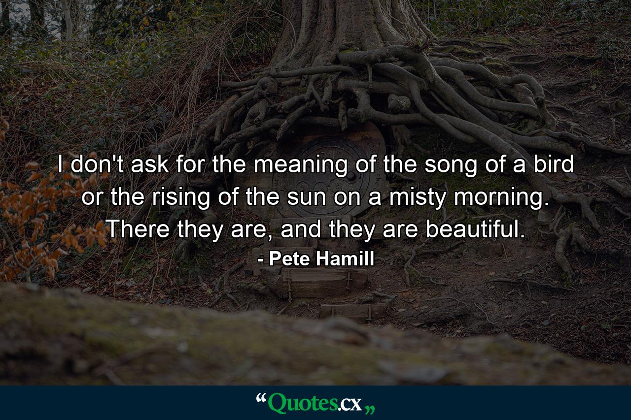 I don't ask for the meaning of the song of a bird or the rising of the sun on a misty morning. There they are, and they are beautiful. - Quote by Pete Hamill