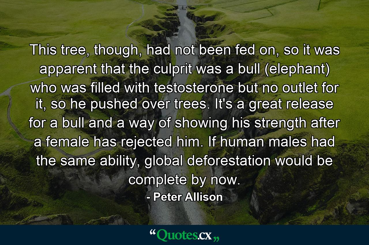 This tree, though, had not been fed on, so it was apparent that the culprit was a bull (elephant) who was filled with testosterone but no outlet for it, so he pushed over trees. It's a great release for a bull and a way of showing his strength after a female has rejected him. If human males had the same ability, global deforestation would be complete by now. - Quote by Peter Allison