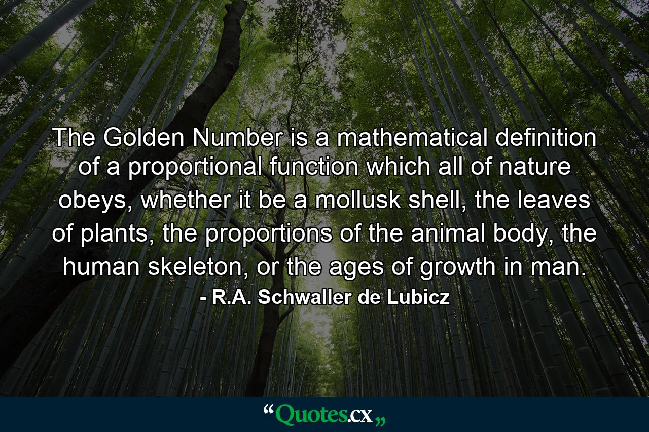 The Golden Number is a mathematical definition of a proportional function which all of nature obeys, whether it be a mollusk shell, the leaves of plants, the proportions of the animal body, the human skeleton, or the ages of growth in man. - Quote by R.A. Schwaller de Lubicz