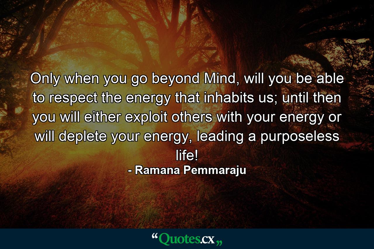 Only when you go beyond Mind, will you be able to respect the energy that inhabits us; until then you will either exploit others with your energy or will deplete your energy, leading a purposeless life! - Quote by Ramana Pemmaraju