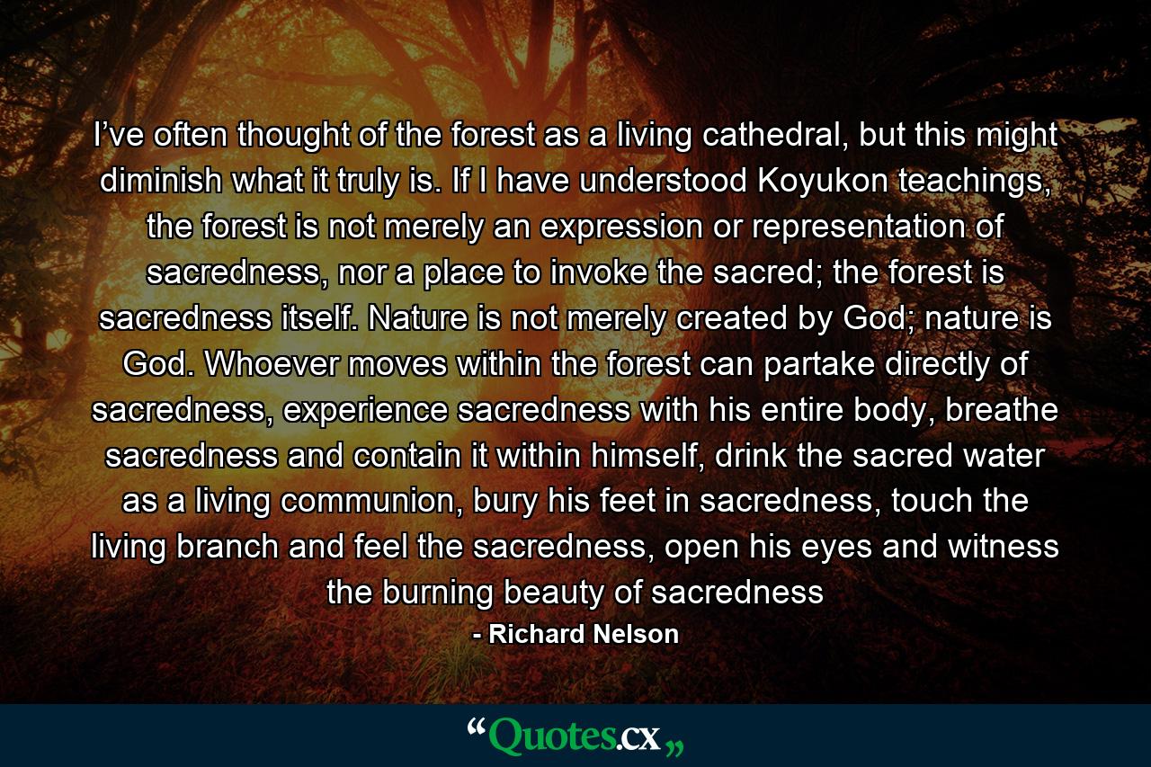 I’ve often thought of the forest as a living cathedral, but this might diminish what it truly is. If I have understood Koyukon teachings, the forest is not merely an expression or representation of sacredness, nor a place to invoke the sacred; the forest is sacredness itself. Nature is not merely created by God; nature is God. Whoever moves within the forest can partake directly of sacredness, experience sacredness with his entire body, breathe sacredness and contain it within himself, drink the sacred water as a living communion, bury his feet in sacredness, touch the living branch and feel the sacredness, open his eyes and witness the burning beauty of sacredness - Quote by Richard Nelson