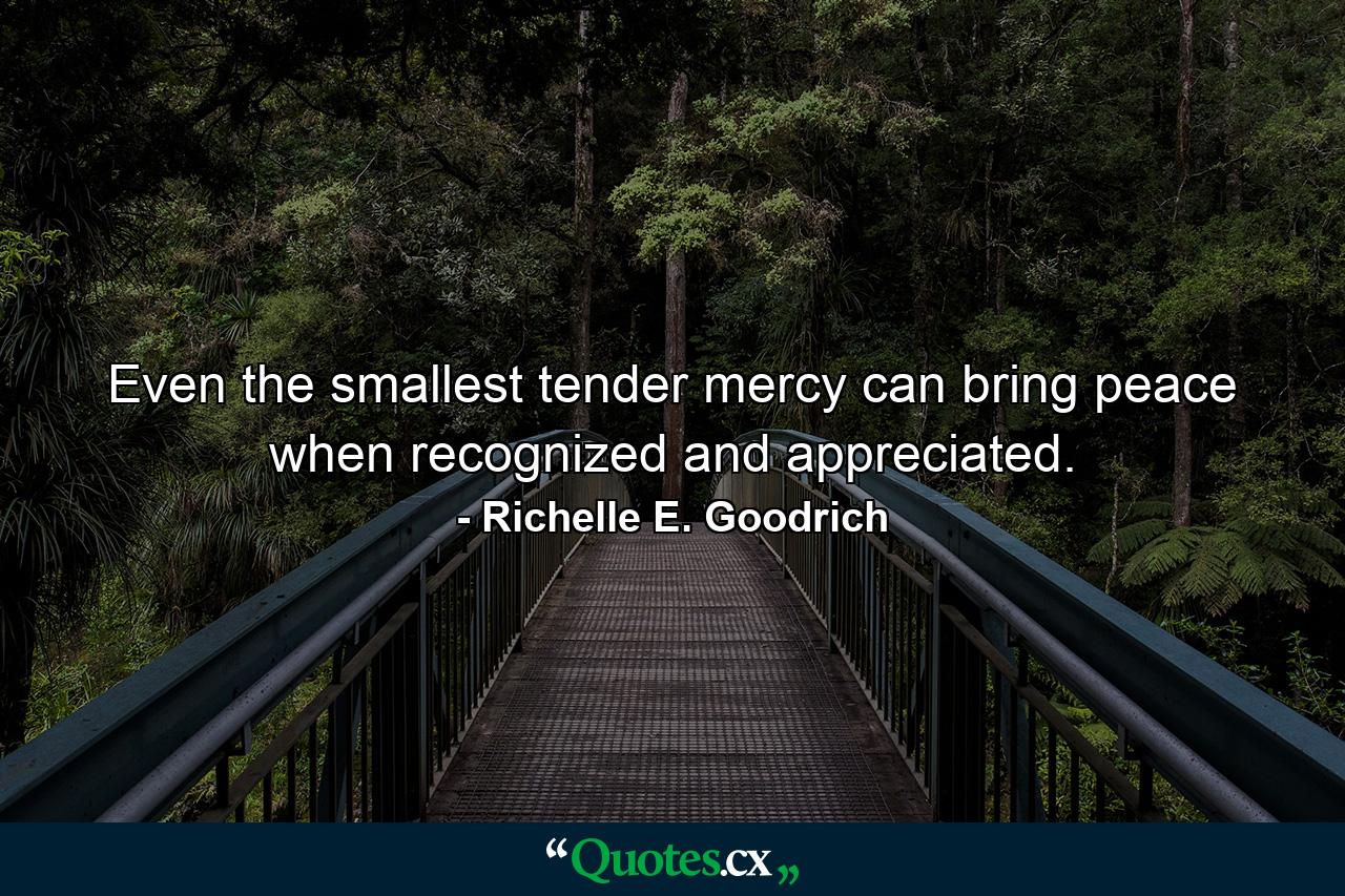 Even the smallest tender mercy can bring peace when recognized and appreciated. - Quote by Richelle E. Goodrich