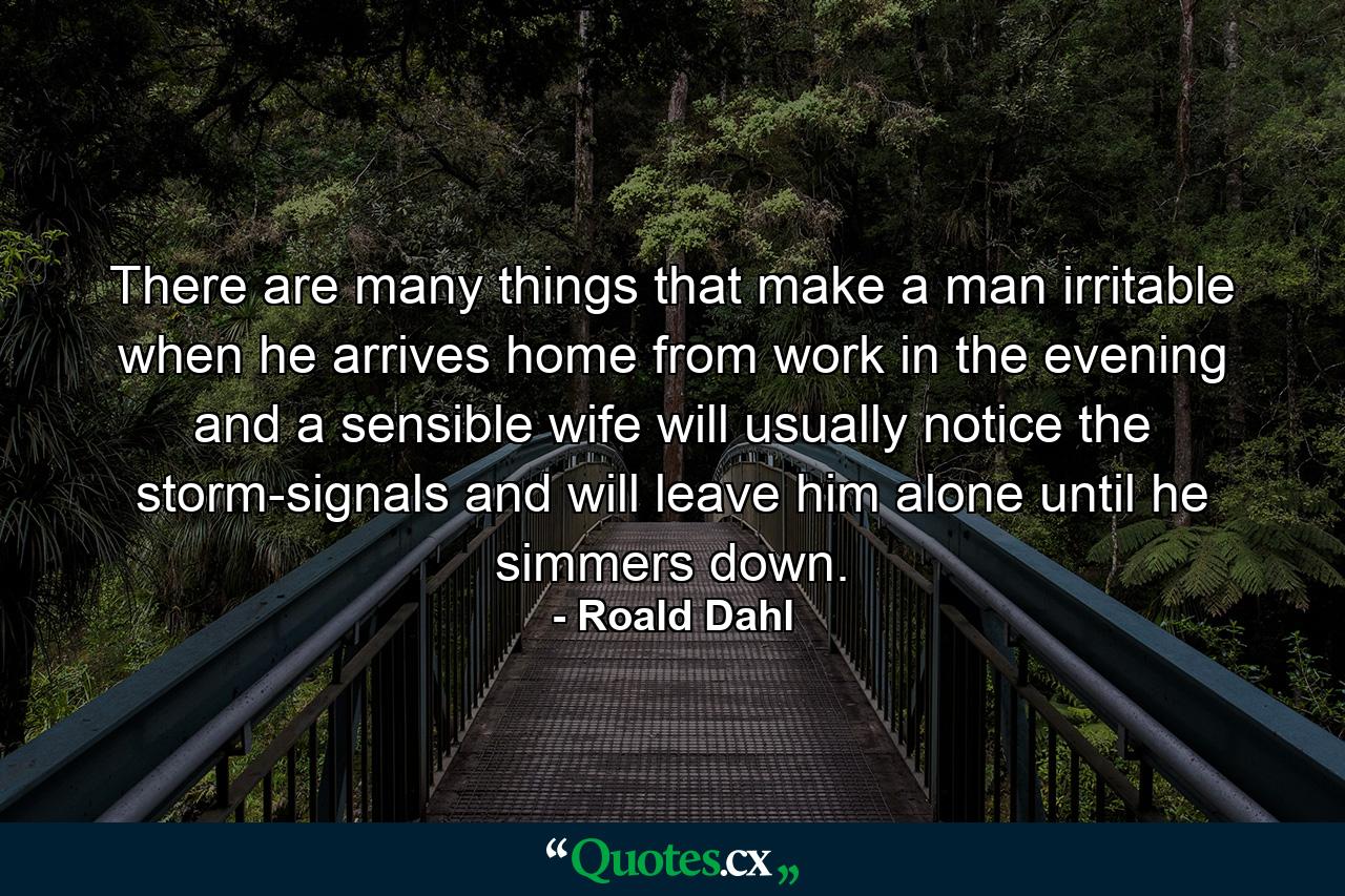 There are many things that make a man irritable when he arrives home from work in the evening and a sensible wife will usually notice the storm-signals and will leave him alone until he simmers down. - Quote by Roald Dahl