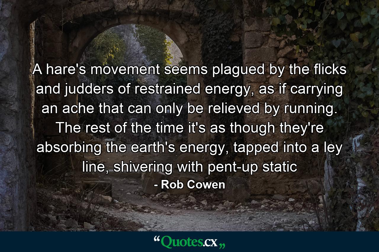 A hare's movement seems plagued by the flicks and judders of restrained energy, as if carrying an ache that can only be relieved by running. The rest of the time it's as though they're absorbing the earth's energy, tapped into a ley line, shivering with pent-up static - Quote by Rob Cowen