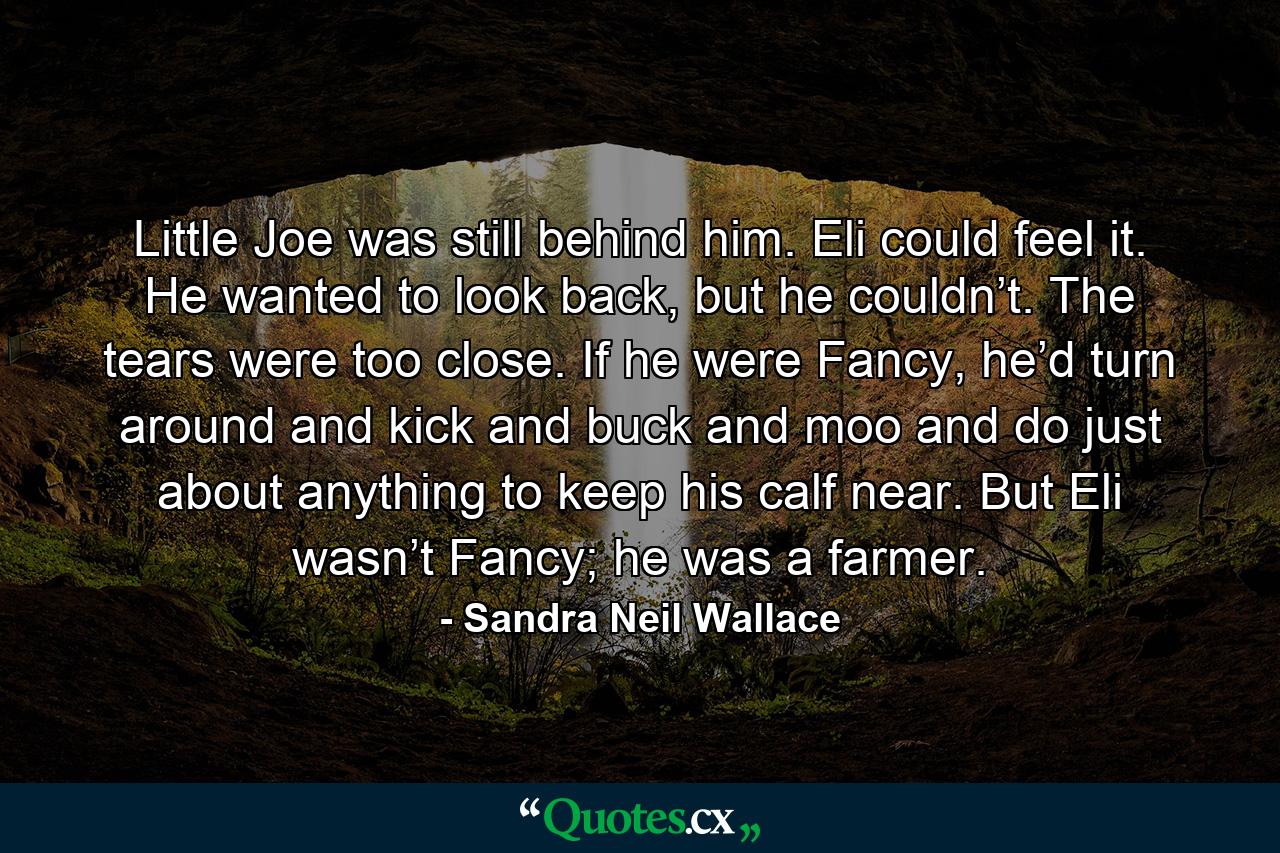 Little Joe was still behind him. Eli could feel it. He wanted to look back, but he couldn’t. The tears were too close. If he were Fancy, he’d turn around and kick and buck and moo and do just about anything to keep his calf near. But Eli wasn’t Fancy; he was a farmer. - Quote by Sandra Neil Wallace