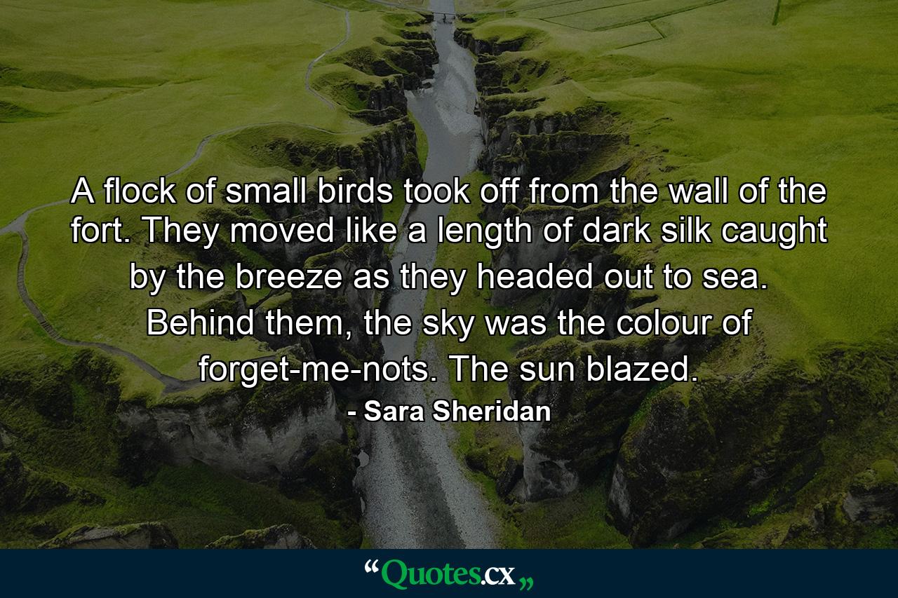 A flock of small birds took off from the wall of the fort. They moved like a length of dark silk caught by the breeze as they headed out to sea. Behind them, the sky was the colour of forget-me-nots. The sun blazed. - Quote by Sara Sheridan