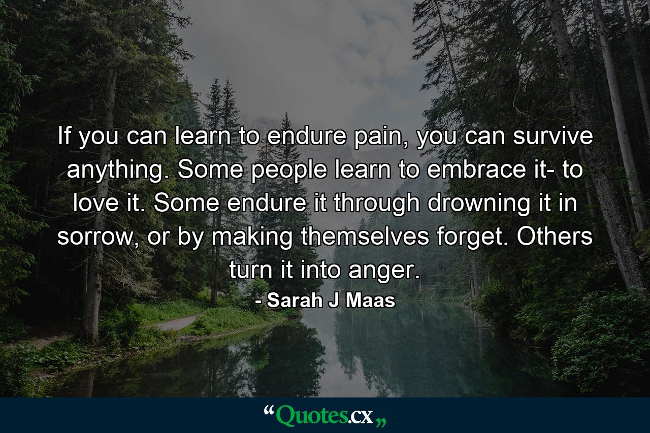 If you can learn to endure pain, you can survive anything. Some people learn to embrace it- to love it. Some endure it through drowning it in sorrow, or by making themselves forget. Others turn it into anger. - Quote by Sarah J Maas