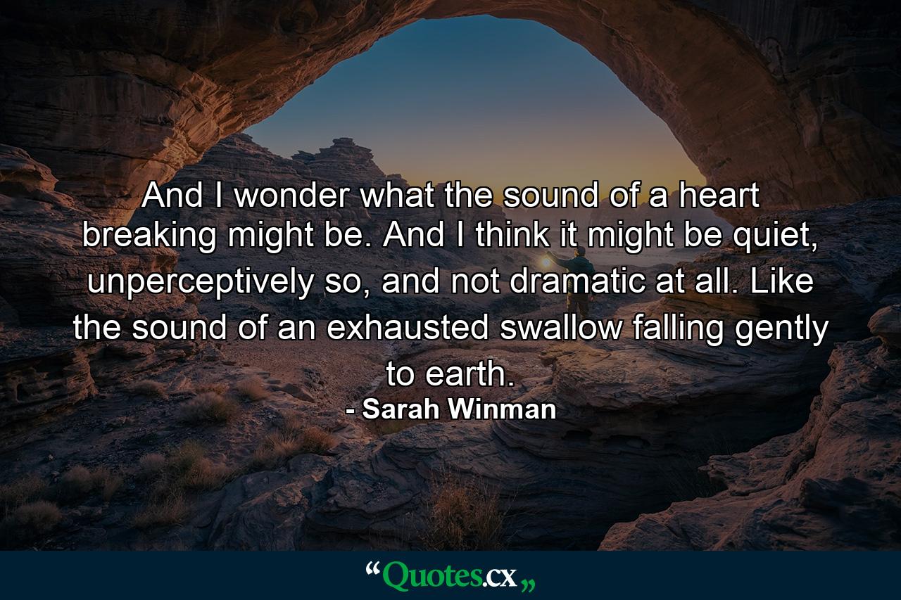 And I wonder what the sound of a heart breaking might be. And I think it might be quiet, unperceptively so, and not dramatic at all. Like the sound of an exhausted swallow falling gently to earth. - Quote by Sarah Winman