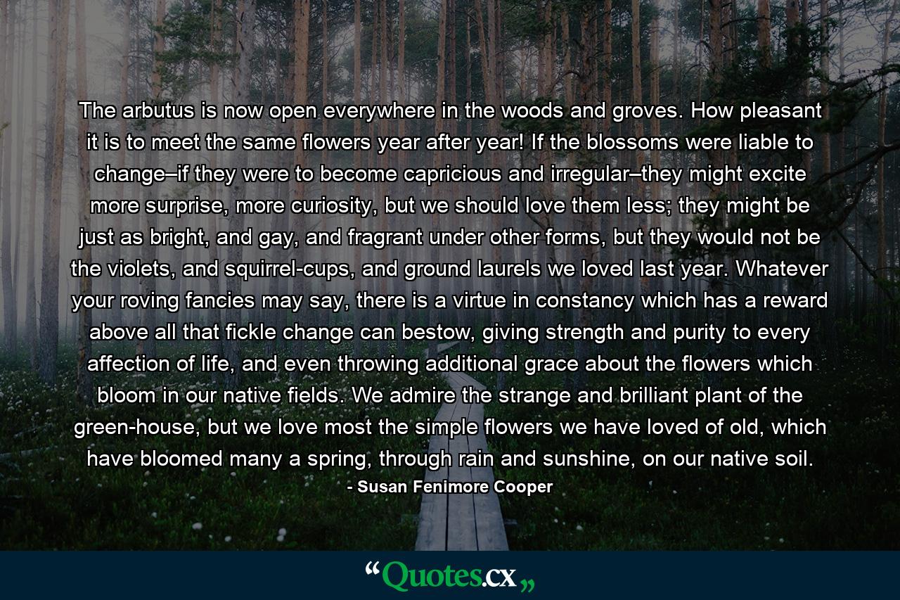 The arbutus is now open everywhere in the woods and groves. How pleasant it is to meet the same flowers year after year! If the blossoms were liable to change–if they were to become capricious and irregular–they might excite more surprise, more curiosity, but we should love them less; they might be just as bright, and gay, and fragrant under other forms, but they would not be the violets, and squirrel-cups, and ground laurels we loved last year. Whatever your roving fancies may say, there is a virtue in constancy which has a reward above all that fickle change can bestow, giving strength and purity to every affection of life, and even throwing additional grace about the flowers which bloom in our native fields. We admire the strange and brilliant plant of the green-house, but we love most the simple flowers we have loved of old, which have bloomed many a spring, through rain and sunshine, on our native soil. - Quote by Susan Fenimore Cooper