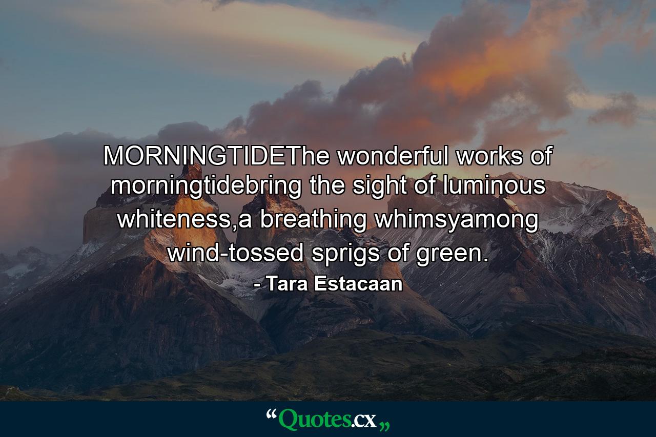 MORNINGTIDEThe wonderful works of morningtidebring the sight of luminous whiteness,a breathing whimsyamong wind-tossed sprigs of green. - Quote by Tara Estacaan