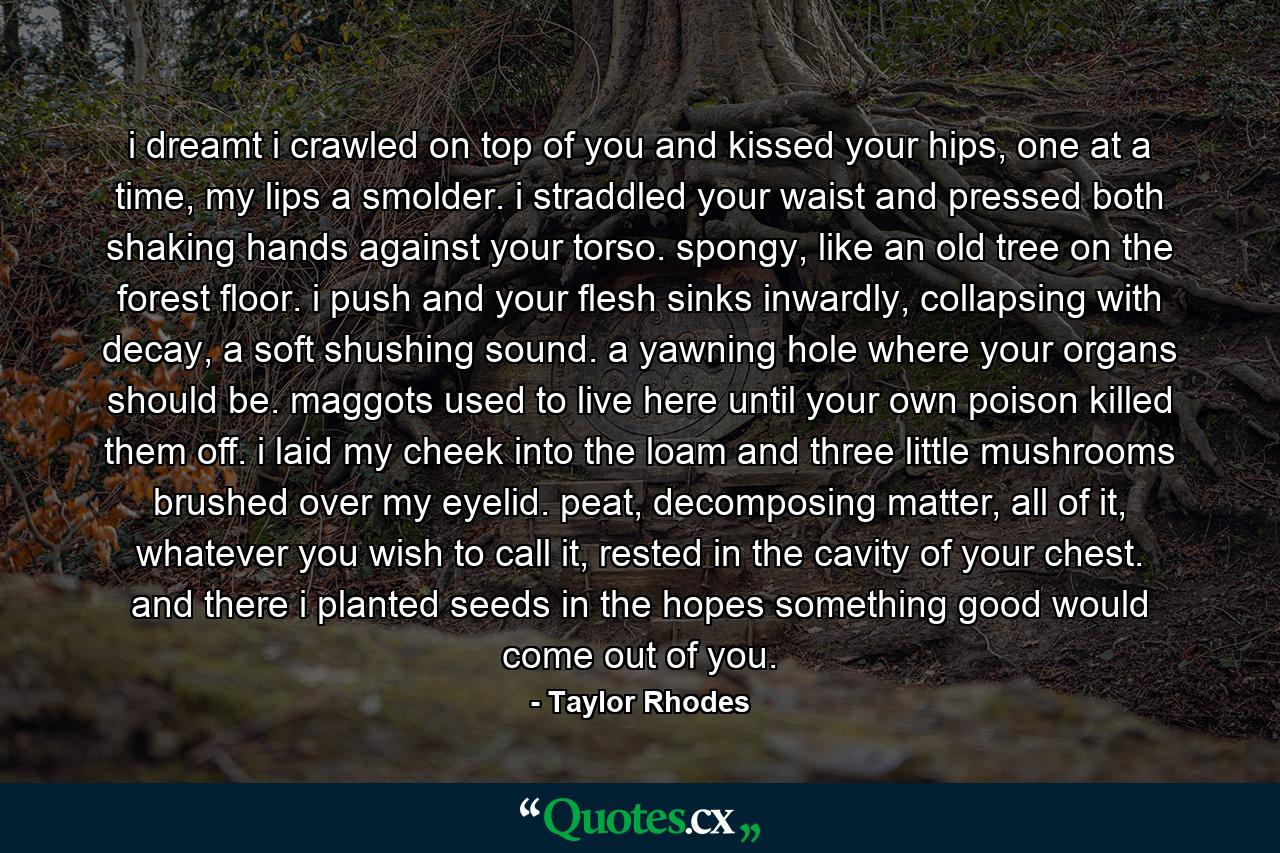 i dreamt i crawled on top of you and kissed your hips, one at a time, my lips a smolder. i straddled your waist and pressed both shaking hands against your torso. spongy, like an old tree on the forest floor. i push and your flesh sinks inwardly, collapsing with decay, a soft shushing sound. a yawning hole where your organs should be. maggots used to live here until your own poison killed them off. i laid my cheek into the loam and three little mushrooms brushed over my eyelid. peat, decomposing matter, all of it, whatever you wish to call it, rested in the cavity of your chest. and there i planted seeds in the hopes something good would come out of you. - Quote by Taylor Rhodes