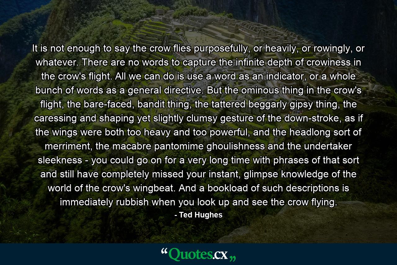 It is not enough to say the crow flies purposefully, or heavily, or rowingly, or whatever. There are no words to capture the infinite depth of crowiness in the crow's flight. All we can do is use a word as an indicator, or a whole bunch of words as a general directive. But the ominous thing in the crow's flight, the bare-faced, bandit thing, the tattered beggarly gipsy thing, the caressing and shaping yet slightly clumsy gesture of the down-stroke, as if the wings were both too heavy and too powerful, and the headlong sort of merriment, the macabre pantomime ghoulishness and the undertaker sleekness - you could go on for a very long time with phrases of that sort and still have completely missed your instant, glimpse knowledge of the world of the crow's wingbeat. And a bookload of such descriptions is immediately rubbish when you look up and see the crow flying. - Quote by Ted Hughes