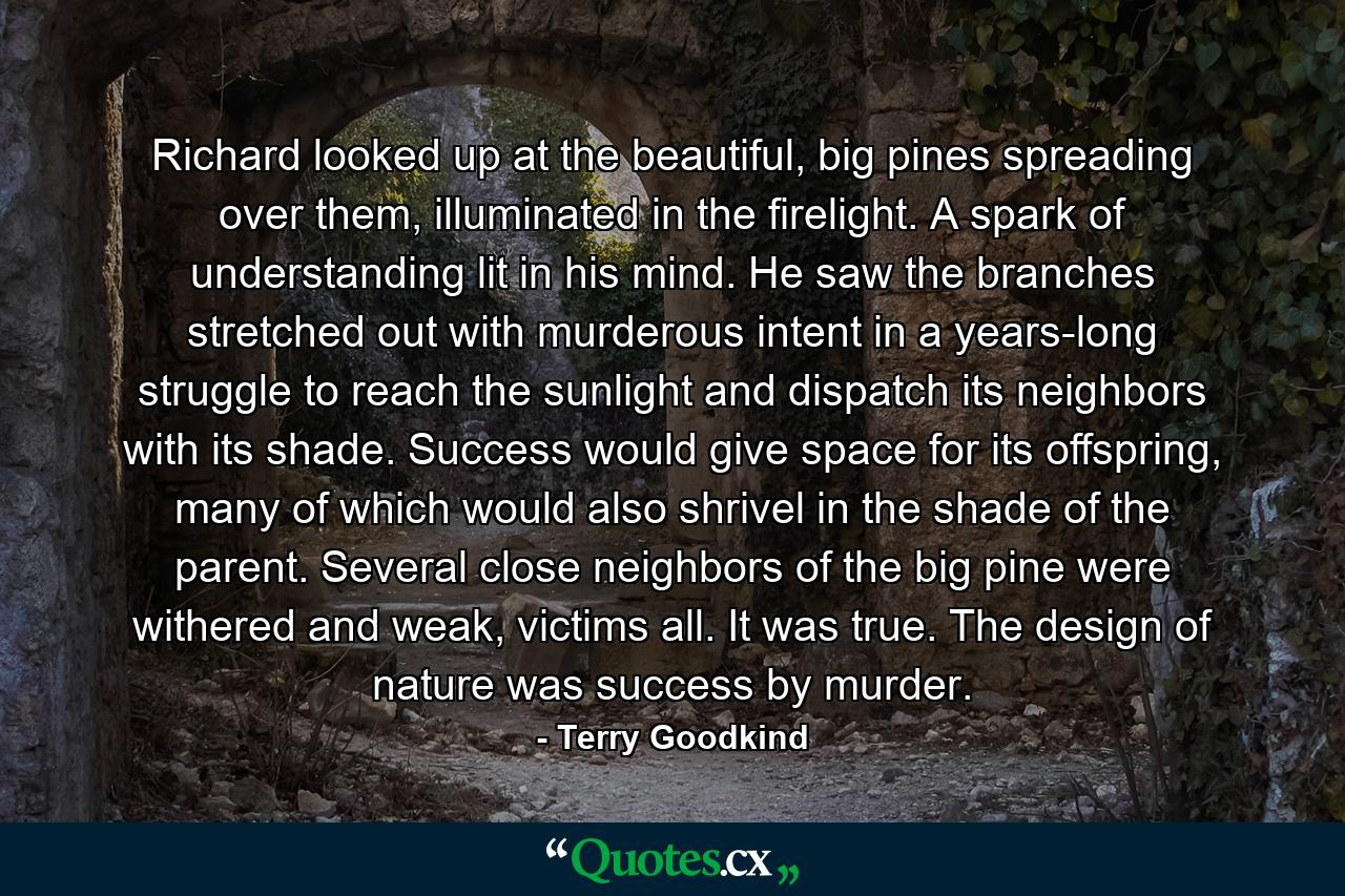 Richard looked up at the beautiful, big pines spreading over them, illuminated in the firelight. A spark of understanding lit in his mind. He saw the branches stretched out with murderous intent in a years-long struggle to reach the sunlight and dispatch its neighbors with its shade. Success would give space for its offspring, many of which would also shrivel in the shade of the parent. Several close neighbors of the big pine were withered and weak, victims all. It was true. The design of nature was success by murder. - Quote by Terry Goodkind