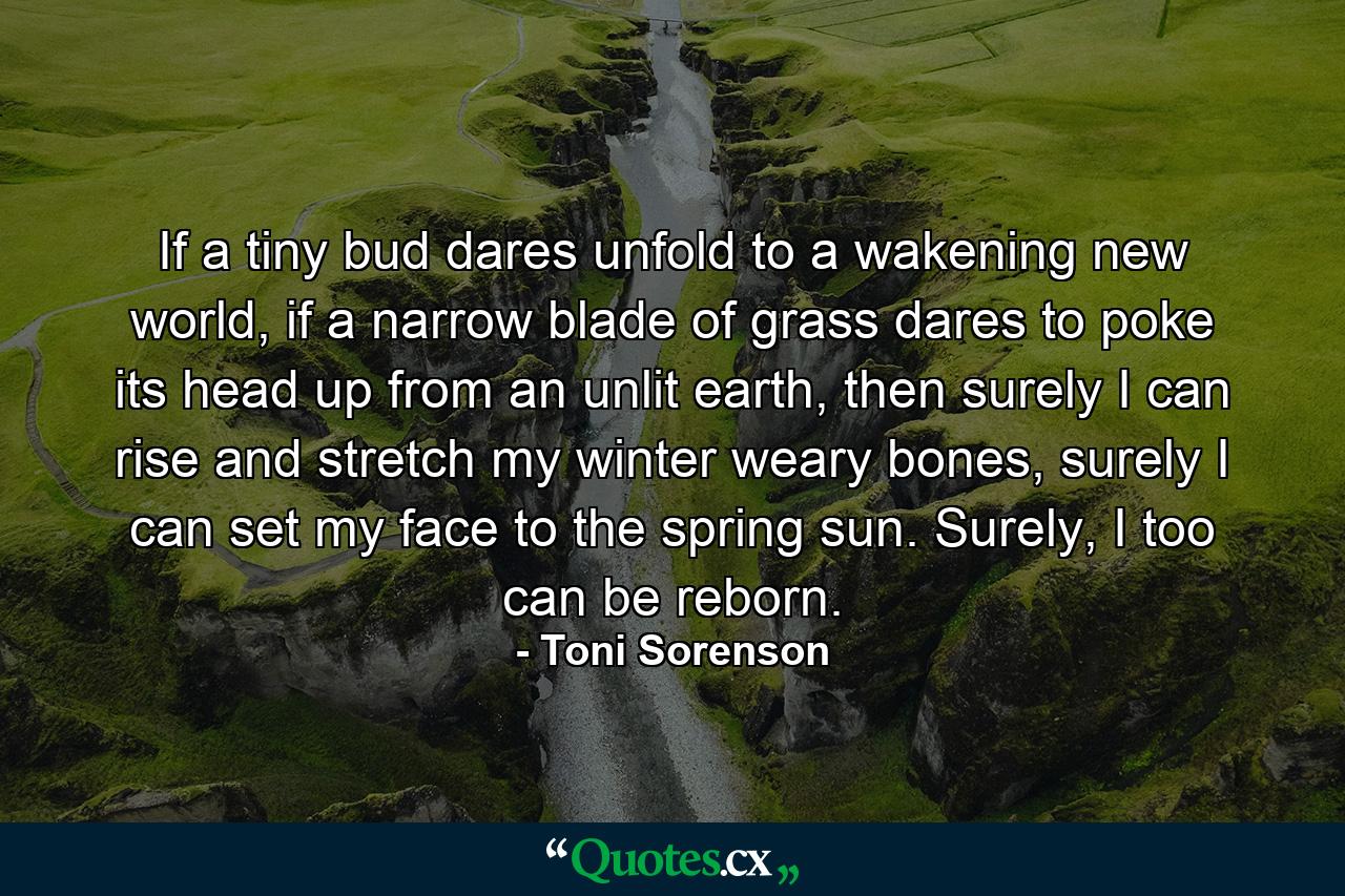 If a tiny bud dares unfold to a wakening new world, if a narrow blade of grass dares to poke its head up from an unlit earth, then surely I can rise and stretch my winter weary bones, surely I can set my face to the spring sun. Surely, I too can be reborn. - Quote by Toni Sorenson