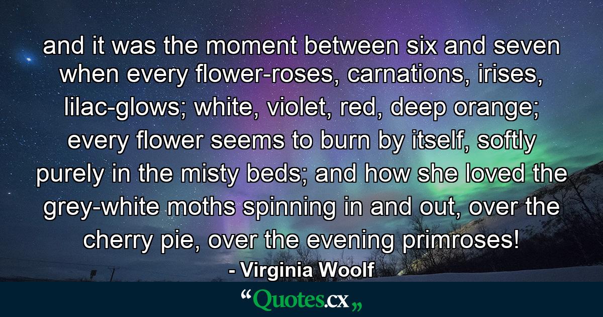 and it was the moment between six and seven when every flower-roses, carnations, irises, lilac-glows; white, violet, red, deep orange; every flower seems to burn by itself, softly purely in the misty beds; and how she loved the grey-white moths spinning in and out, over the cherry pie, over the evening primroses! - Quote by Virginia Woolf