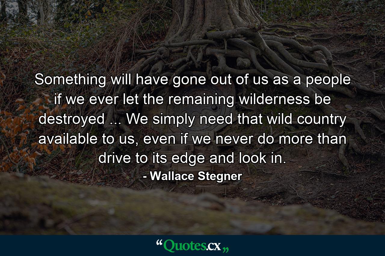 Something will have gone out of us as a people if we ever let the remaining wilderness be destroyed ... We simply need that wild country available to us, even if we never do more than drive to its edge and look in. - Quote by Wallace Stegner