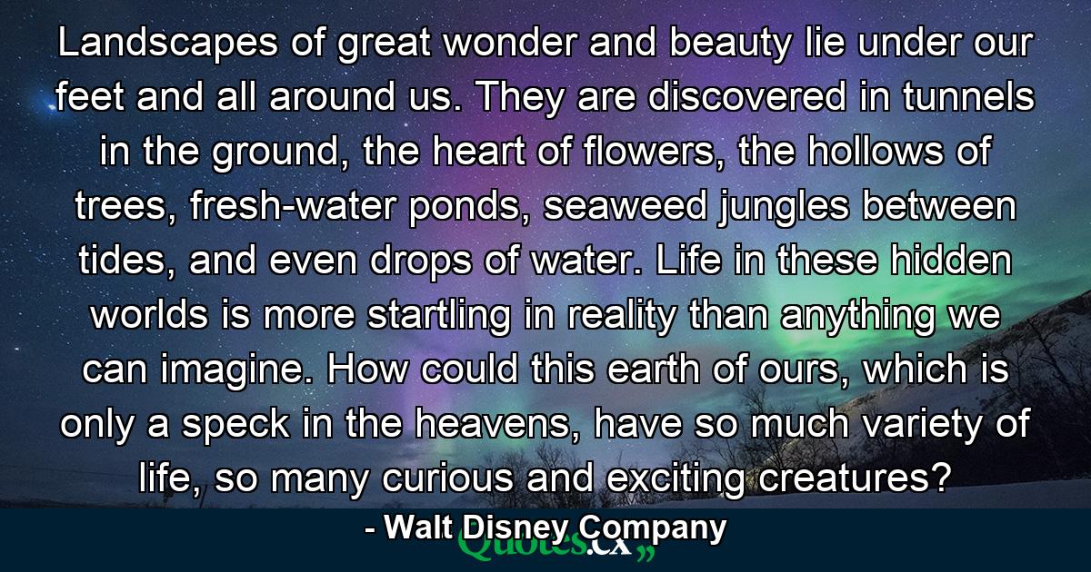 Landscapes of great wonder and beauty lie under our feet and all around us. They are discovered in tunnels in the ground, the heart of flowers, the hollows of trees, fresh-water ponds, seaweed jungles between tides, and even drops of water. Life in these hidden worlds is more startling in reality than anything we can imagine. How could this earth of ours, which is only a speck in the heavens, have so much variety of life, so many curious and exciting creatures? - Quote by Walt Disney Company