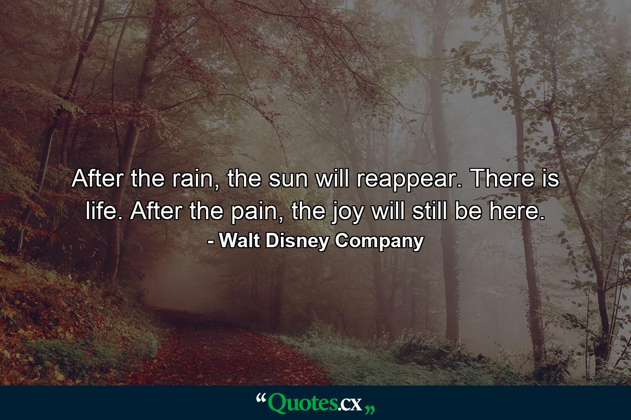 After the rain, the sun will reappear. There is life. After the pain, the joy will still be here. - Quote by Walt Disney Company