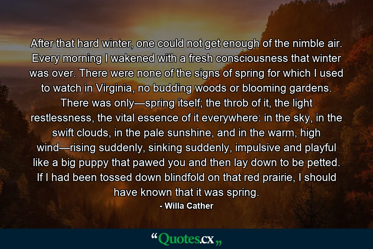 After that hard winter, one could not get enough of the nimble air. Every morning I wakened with a fresh consciousness that winter was over. There were none of the signs of spring for which I used to watch in Virginia, no budding woods or blooming gardens. There was only—spring itself; the throb of it, the light restlessness, the vital essence of it everywhere: in the sky, in the swift clouds, in the pale sunshine, and in the warm, high wind—rising suddenly, sinking suddenly, impulsive and playful like a big puppy that pawed you and then lay down to be petted. If I had been tossed down blindfold on that red prairie, I should have known that it was spring. - Quote by Willa Cather