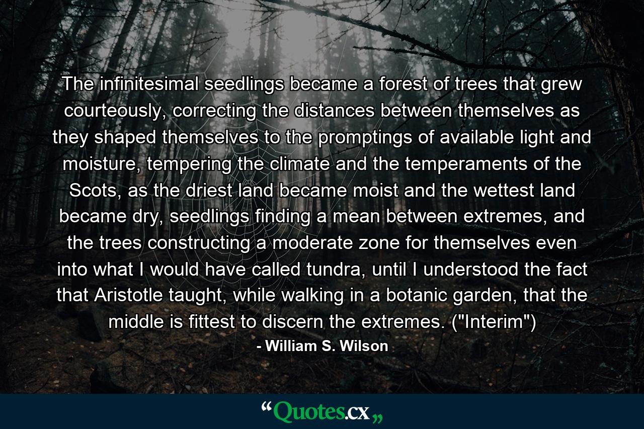 The infinitesimal seedlings became a forest of trees that grew courteously, correcting the distances between themselves as they shaped themselves to the promptings of available light and moisture, tempering the climate and the temperaments of the Scots, as the driest land became moist and the wettest land became dry, seedlings finding a mean between extremes, and the trees constructing a moderate zone for themselves even into what I would have called tundra, until I understood the fact that Aristotle taught, while walking in a botanic garden, that the middle is fittest to discern the extremes. (