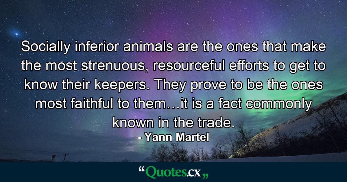 Socially inferior animals are the ones that make the most strenuous, resourceful efforts to get to know their keepers. They prove to be the ones most faithful to them…it is a fact commonly known in the trade. - Quote by Yann Martel