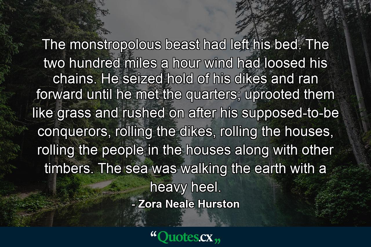 The monstropolous beast had left his bed. The two hundred miles a hour wind had loosed his chains. He seized hold of his dikes and ran forward until he met the quarters; uprooted them like grass and rushed on after his supposed-to-be conquerors, rolling the dikes, rolling the houses, rolling the people in the houses along with other timbers. The sea was walking the earth with a heavy heel. - Quote by Zora Neale Hurston