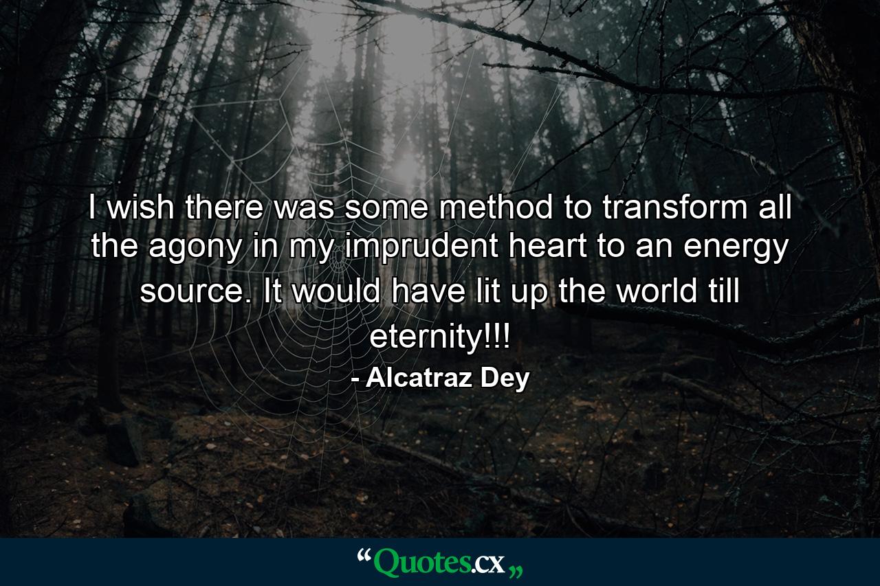 I wish there was some method to transform all the agony in my imprudent heart to an energy source. It would have lit up the world till eternity!!! - Quote by Alcatraz Dey