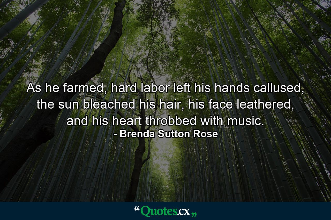 As he farmed, hard labor left his hands callused, the sun bleached his hair, his face leathered, and his heart throbbed with music. - Quote by Brenda Sutton Rose