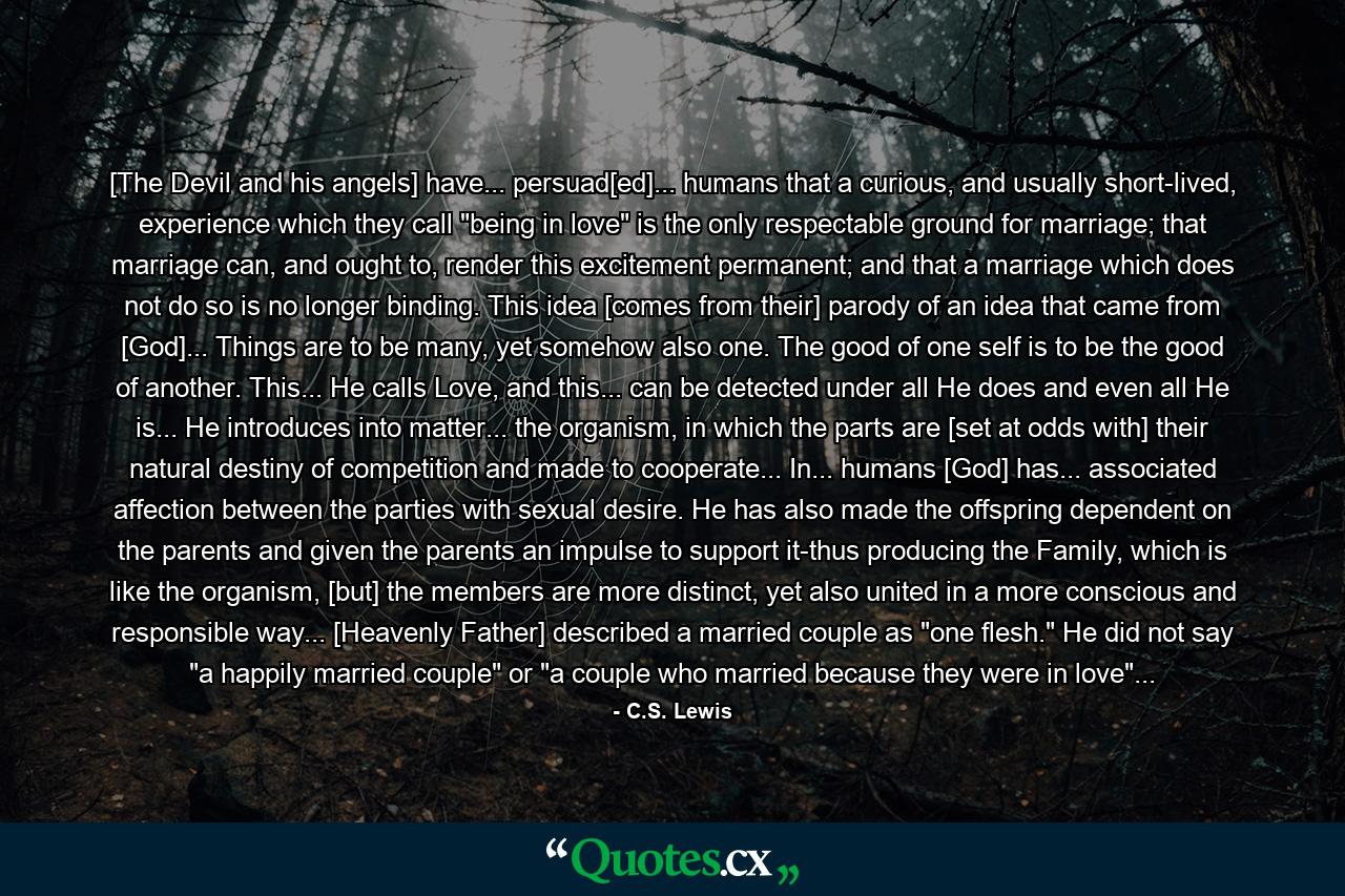 [The Devil and his angels] have... persuad[ed]... humans that a curious, and usually short-lived, experience which they call 