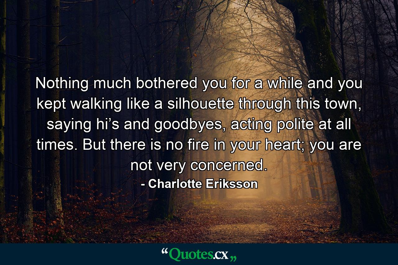 Nothing much bothered you for a while and you kept walking like a silhouette through this town, saying hi’s and goodbyes, acting polite at all times. But there is no fire in your heart; you are not very concerned. - Quote by Charlotte Eriksson