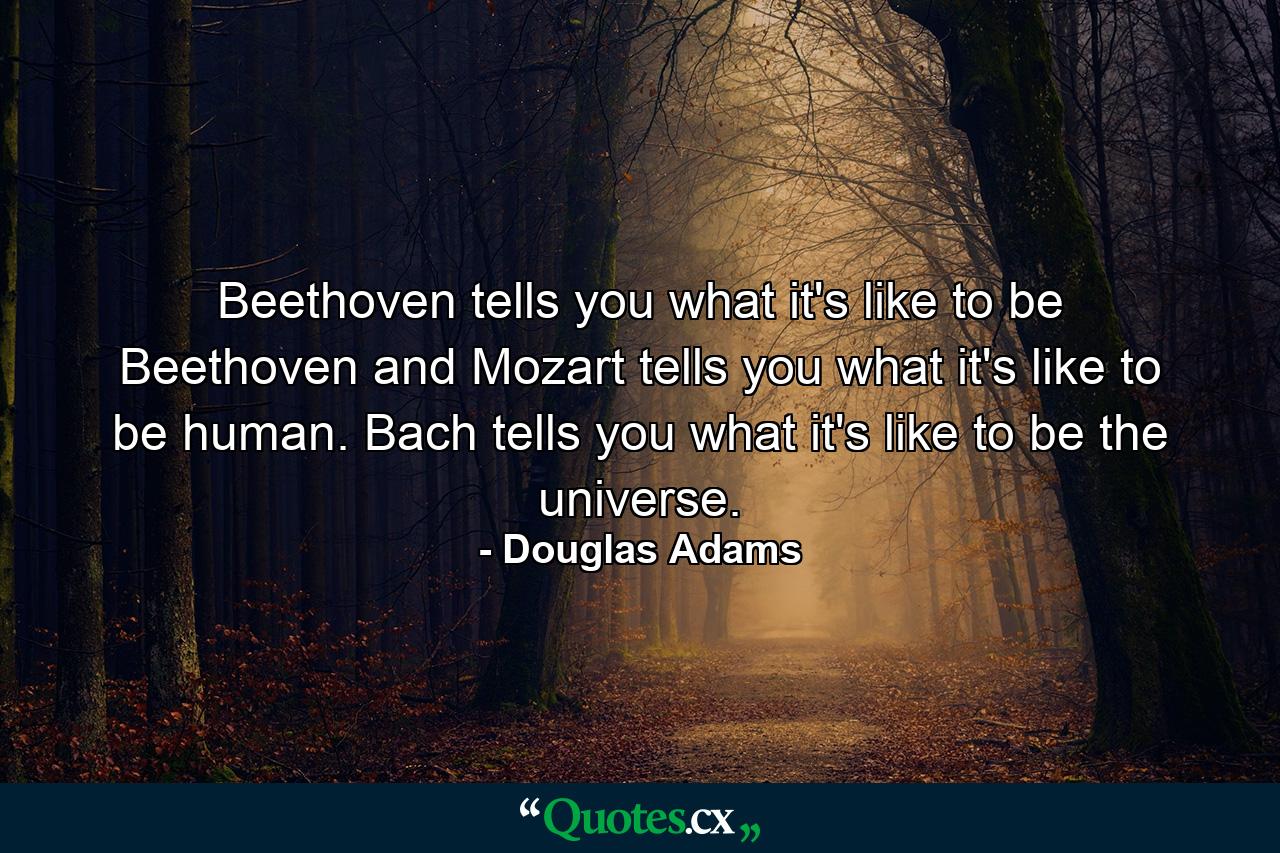 Beethoven tells you what it's like to be Beethoven and Mozart tells you what it's like to be human. Bach tells you what it's like to be the universe. - Quote by Douglas Adams