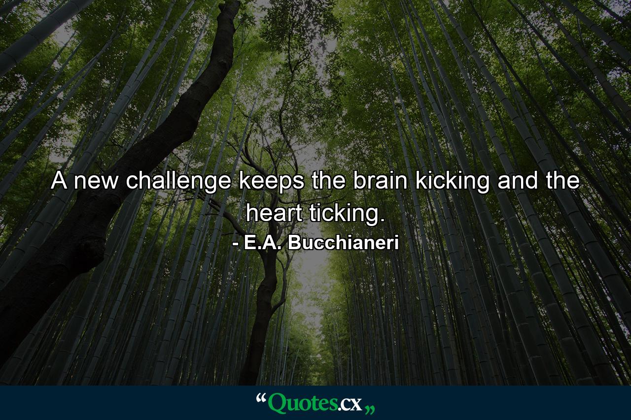 A new challenge keeps the brain kicking and the heart ticking. - Quote by E.A. Bucchianeri