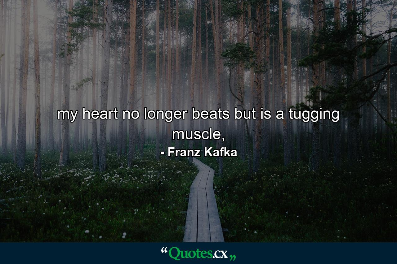 my heart no longer beats but is a tugging muscle, - Quote by Franz Kafka