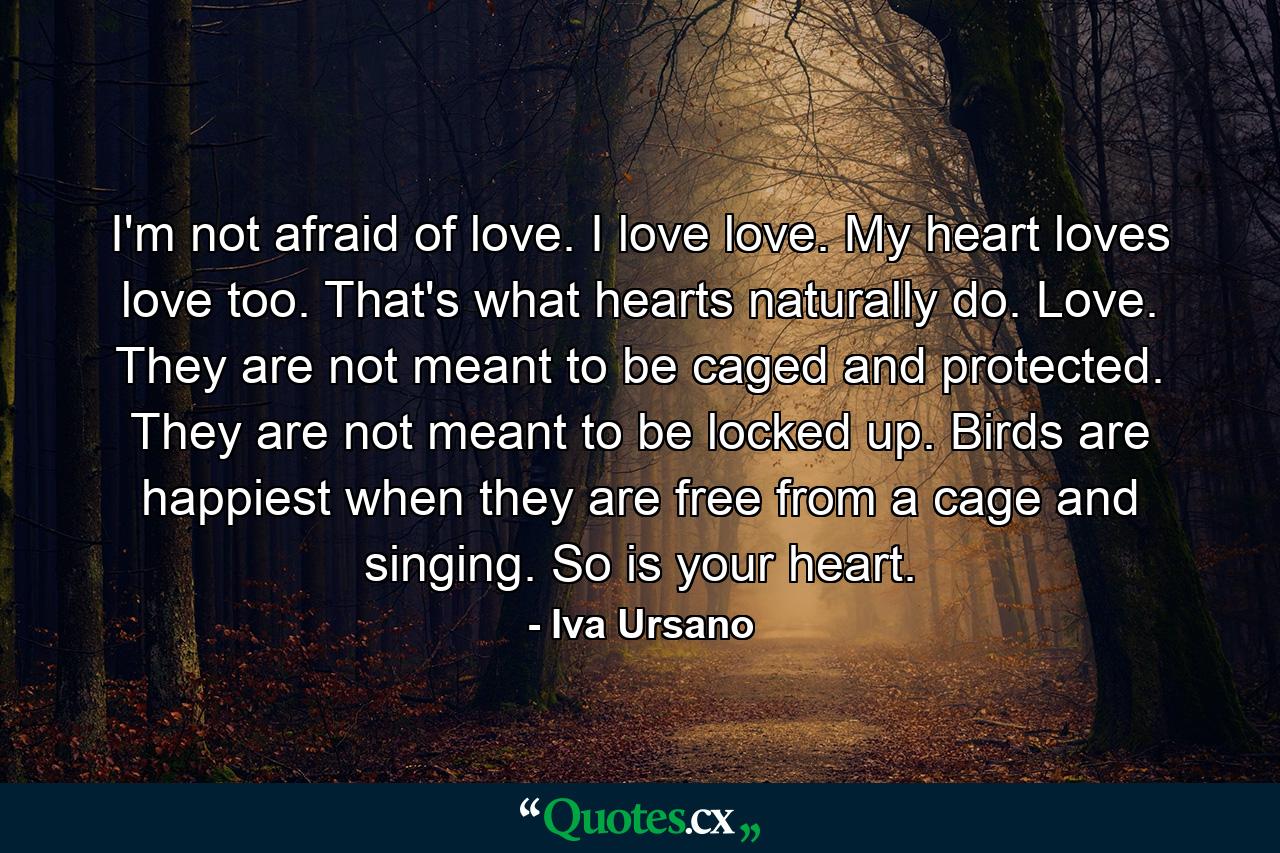 I'm not afraid of love. I love love. My heart loves love too. That's what hearts naturally do. Love. They are not meant to be caged and protected. They are not meant to be locked up. Birds are happiest when they are free from a cage and singing. So is your heart. - Quote by Iva Ursano