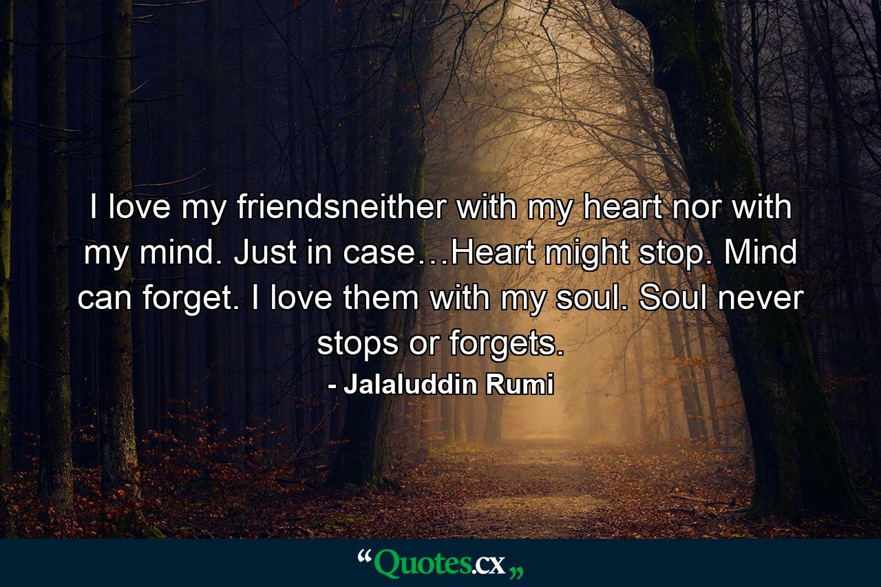 I love my friendsneither with my heart nor with my mind. Just in case…Heart might stop.  Mind can forget. I love them with my soul. Soul never stops or forgets. - Quote by Jalaluddin Rumi