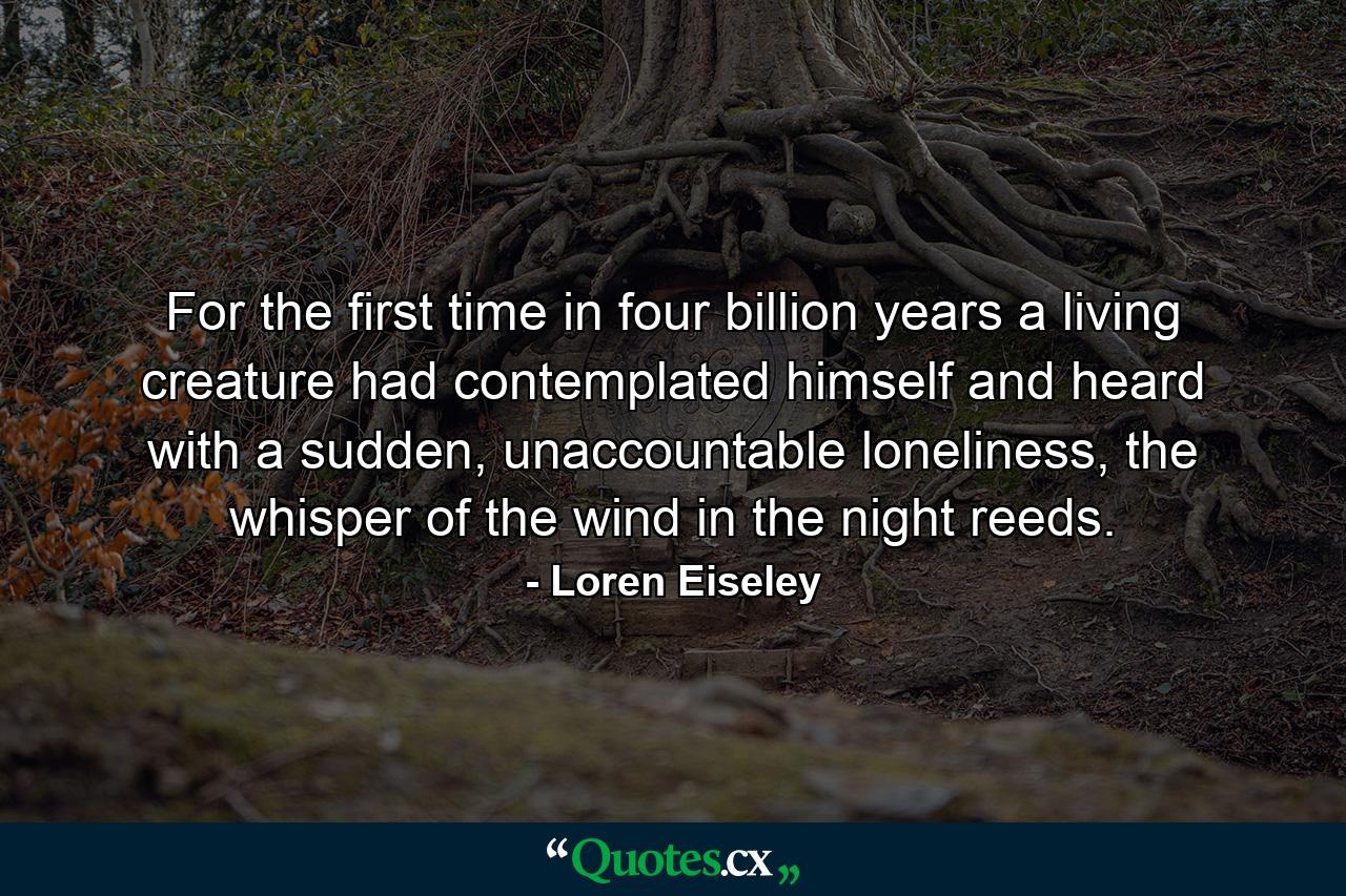 For the first time in four billion years a living creature had contemplated himself and heard with a sudden, unaccountable loneliness, the whisper of the wind in the night reeds. - Quote by Loren Eiseley