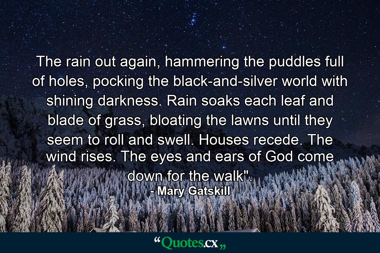 The rain out again, hammering the puddles full of holes, pocking the black-and-silver world with shining darkness. Rain soaks each leaf and blade of grass, bloating the lawns until they seem to roll and swell. Houses recede. The wind rises. The eyes and ears of God come down for the walk