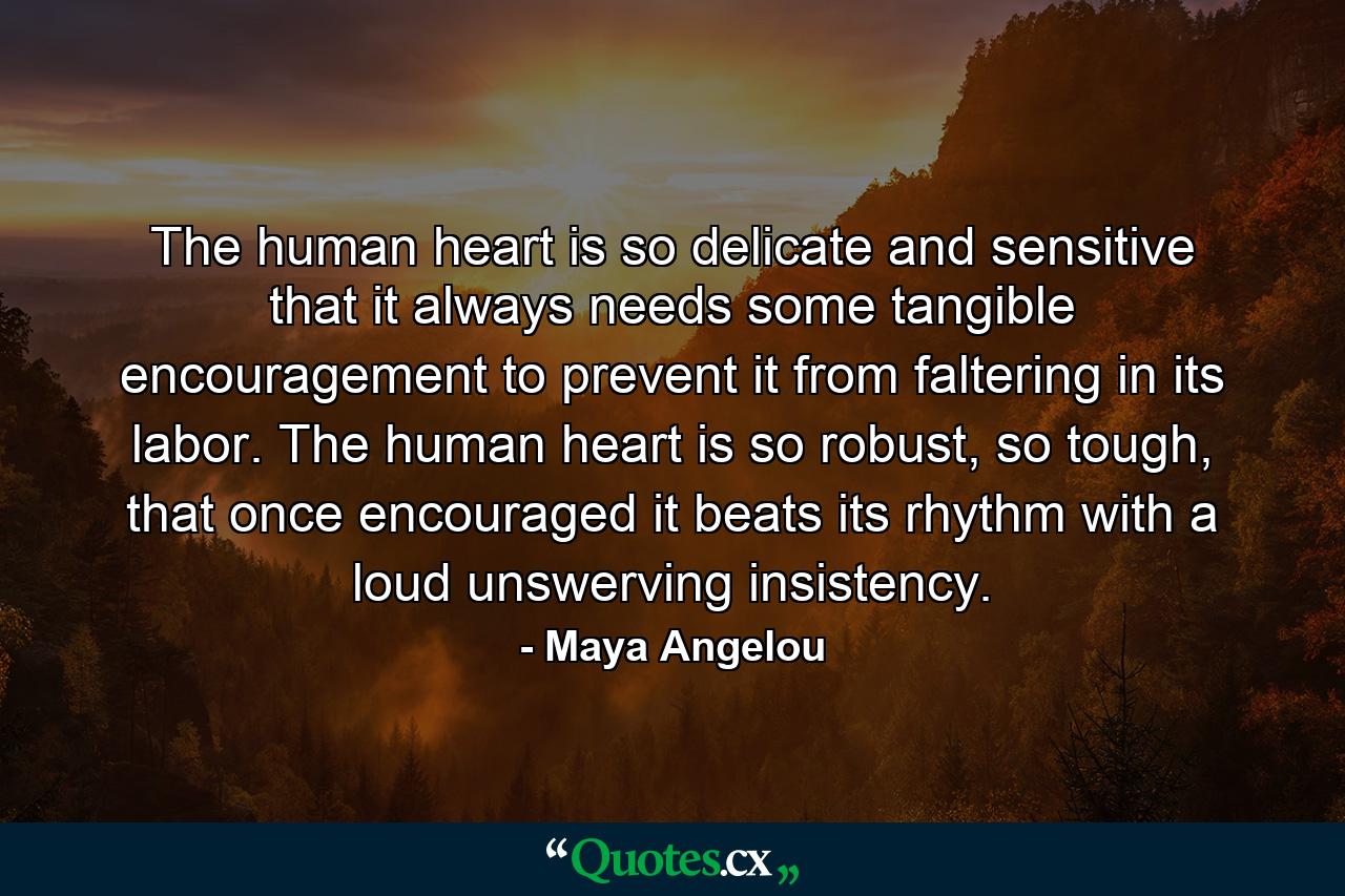 The human heart is so delicate and sensitive that it always needs some tangible encouragement to prevent it from faltering in its labor. The human heart is so robust, so tough, that once encouraged it beats its rhythm with a loud unswerving insistency. - Quote by Maya Angelou